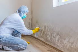 Mold Removal for HVAC Installations in Hamilton, MT